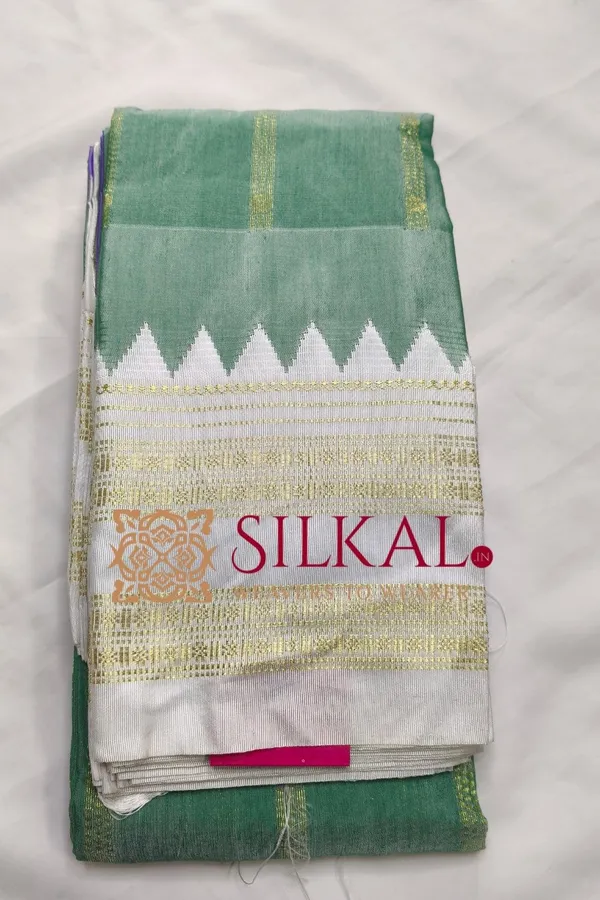 Ilkal_Rudhrakshi_Naryanpeth_Saree__SKL03485