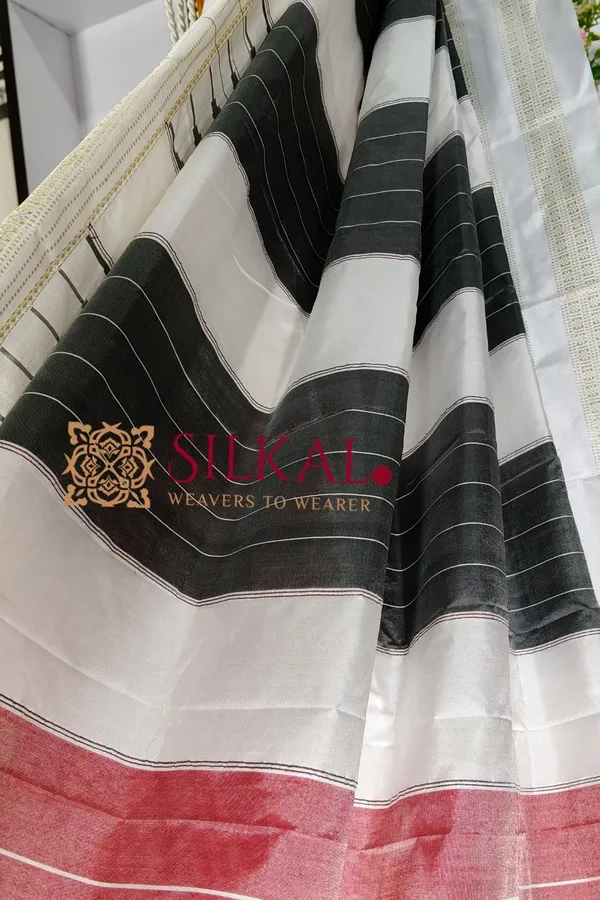 Ilkal_Rudhrakshi_Naryanpeth_Saree__SKL_3156