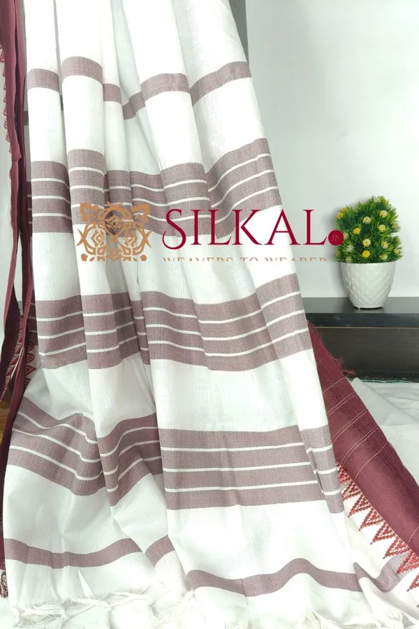 Patteda_Anchu_Pure_Cotton_Saree_SKL03598