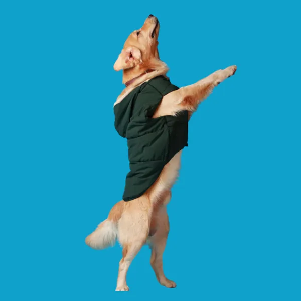 DogsMart_Dog_Winter_Jackets_Waterproof_And_Lightweighted_Puffer_Dog_Clothes
