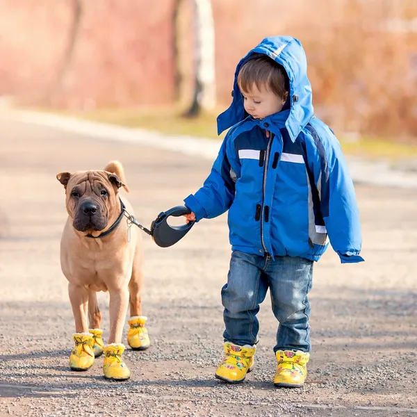 Adjustable_Reflective_Dog_Boots_–_Anti-Slip_Waterproof_Paw_Protector_Shoes