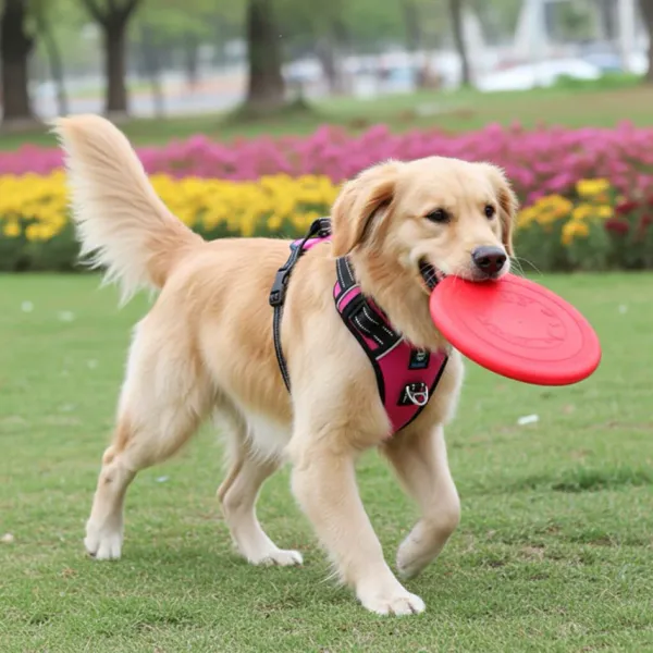 HANK_3M_Reflective_No_Pull_Dog_Harness_|_Pink
