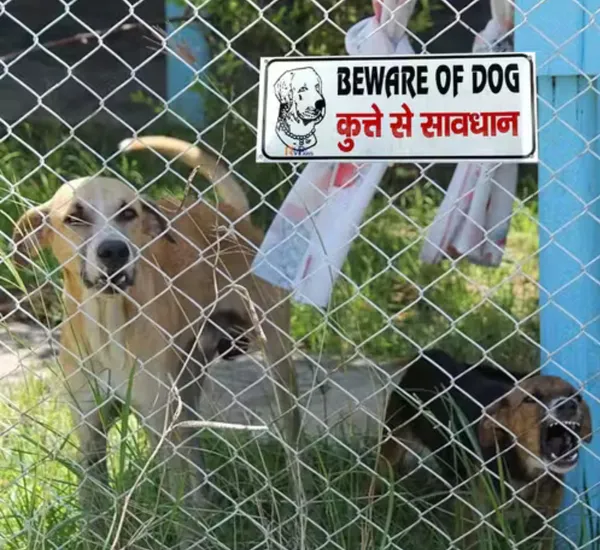 Beware_of_Dogs_Sigo_Sign_Board_for_Gate_and_Walls
