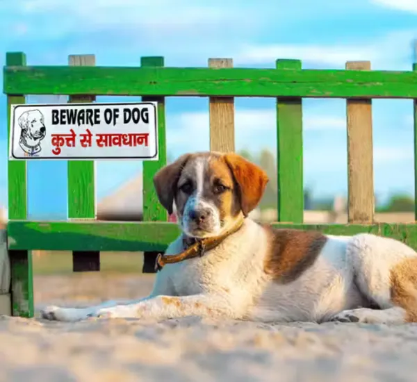 Beware_of_Dogs_Sigo_Sign_Board_for_Gate_and_Walls