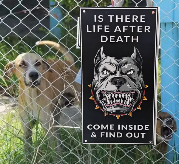 Beware_of_Dogs_Sigo__Sign_Board_for_Wall_and_Gate