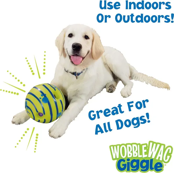 Boredom_Remover_Waggle_wag_Ball_best_dog_interactive_Toy_for_Heathier_Pet