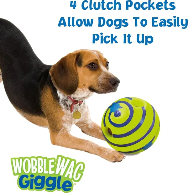 Boredom_Remover_Waggle_wag_Ball_best_dog_interactive_Toy_for_Heathier_Pet