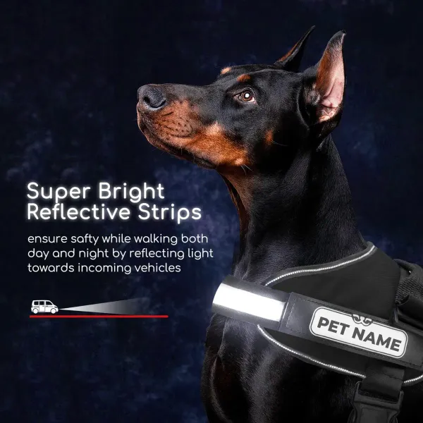 Cute_Love__Dog_Harness_with_Custom_Name_&_Adjustable_Neck_Strip_&_Chest_Strip_Dog_Harness