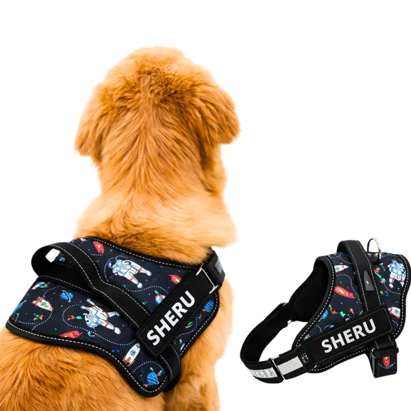 Dog_Harness_with_Custom_Name_&_Adjustable_Neck_Strip_&_Chest_Strip_-Astronaut
