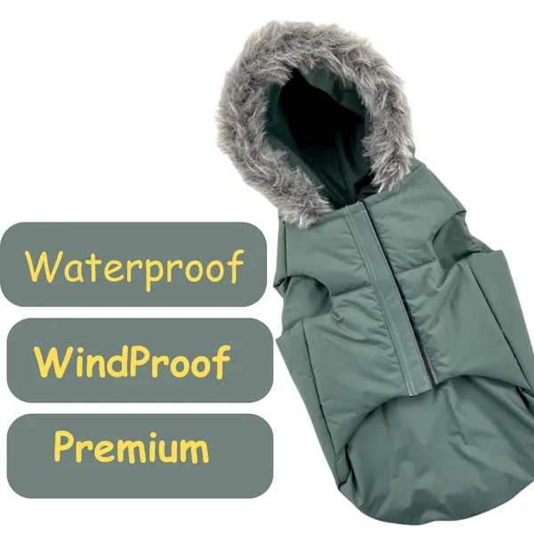 Sea_Green_Nylon_,_Wool_&_Cotton_Premium_&_Elegant_Plain_Waterproof_Winter_Jacket_For_Dog