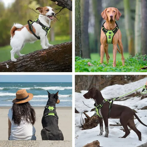 HANK_3M_Reflective_No_Pull_Dog_Harness_|_Neon_Green