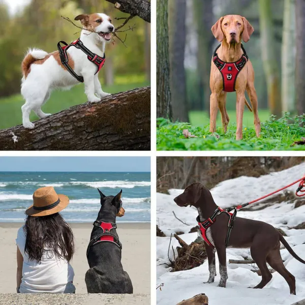 HANK_3M_Reflective_No_Pull_Dog_Harness_|_Red