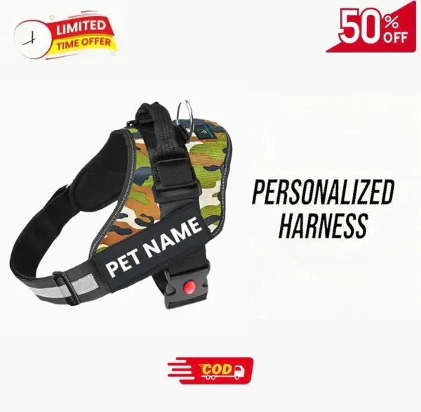 Personalised_Easy_On_Dog_Harness_with_Custom_Name_&_Adjustable_Neck_Strip_&_Chest_Strip_Dog_Harness