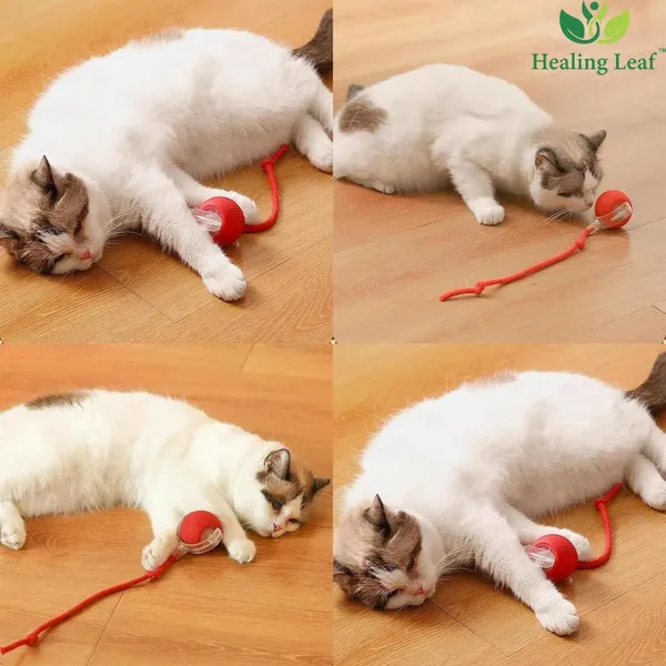 Interactive_Dog_and__Cat_Toys_Ball_–_Smart_Rolling_LED_Ball,_Automatic_&_USB_Rechargeable_Motion_Activate_