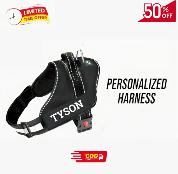 Personalised_Easy_On_Dog_Harness_with_Custom_Name_&_Adjustable_Neck_Strip_&_Chest_Strip_Dog_Harness
