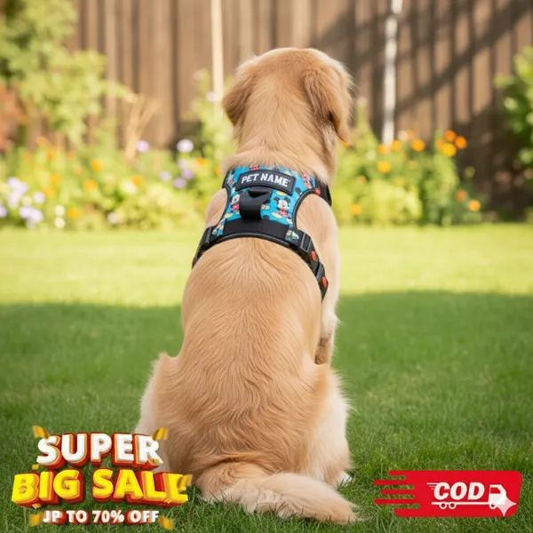 Dog_Harness_with_Custom_Name_&_Adjustable_Neck_Strip_&_Chest_Strip_Customise_Dog_Name_Chest_Belt