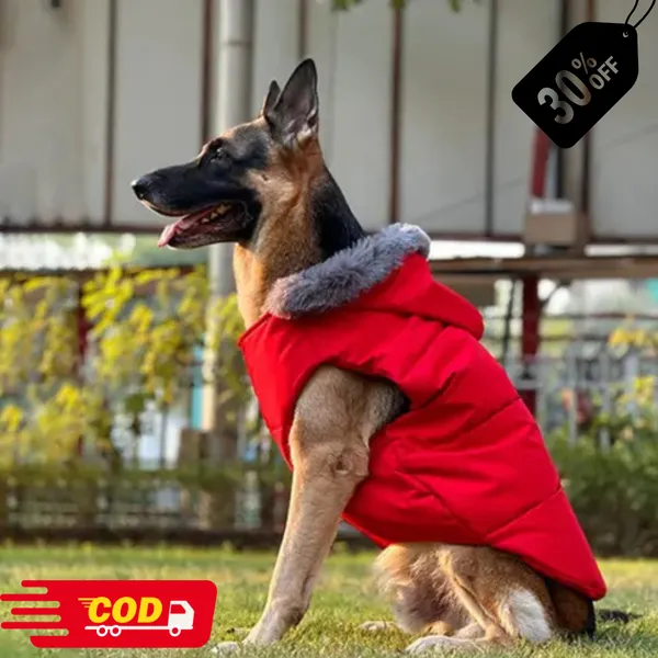 DogsMart_Dog_Winter_Jackets_Waterproof_And_Lightweighted_Puffer_Dog_Clothes