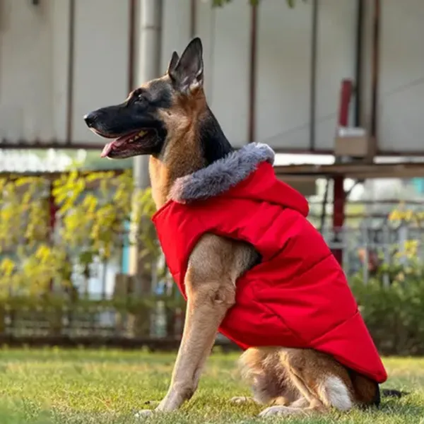 DogsMart_Dog_Winter_Jackets_Waterproof_And_Lightweighted_Puffer_Dog_Clothes