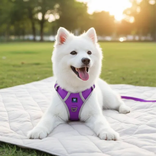 No_Pull_3M_Reflective_Dog_Harness_|_Purple