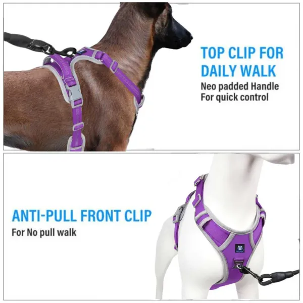 No_Pull_3M_Reflective_Dog_Harness_|_Purple