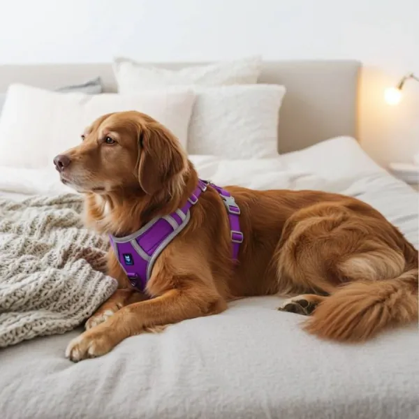 No_Pull_3M_Reflective_Dog_Harness_|_Purple