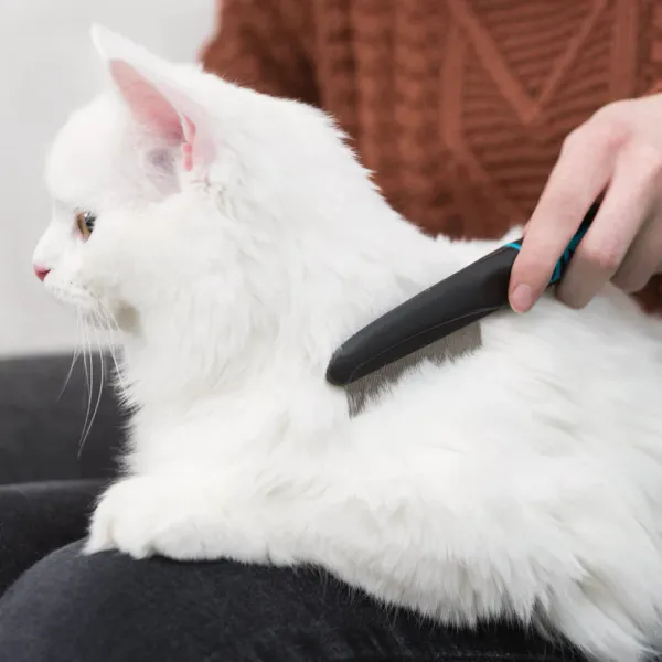Steel_&_Plastic_Premium_&_Elegant_Comfort_Hair_Grooming_tick_and_flea__Comb_For_Dog_&_Cat