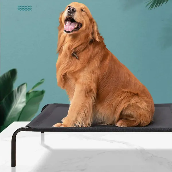 Black_Oxford_Fabric_Premium_&_Elegant_Foldable_Waterproof_Portable_Bed_For_Dog