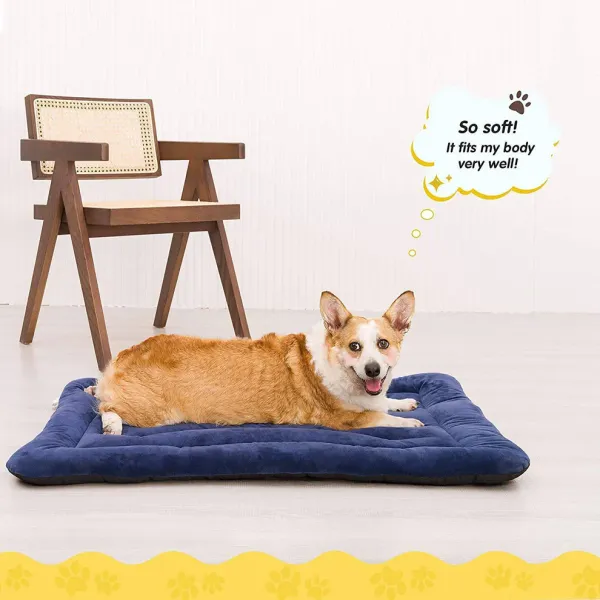 Pet_Matt_With_Soft_Fabric_&_Machine_Washable_(Blue)