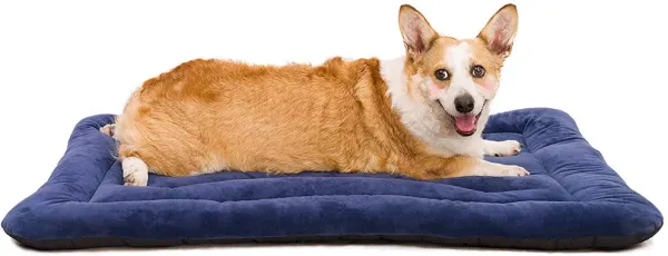 Pet_Matt_With_Soft_Fabric_&_Machine_Washable_(Blue)