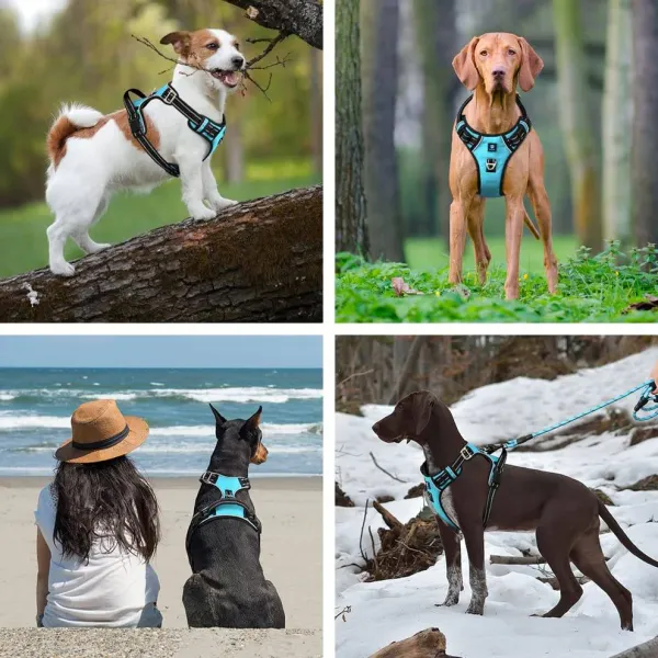 HANK_3M_Reflective_No_Pull_Dog_Harness_|_Cyan_Blue