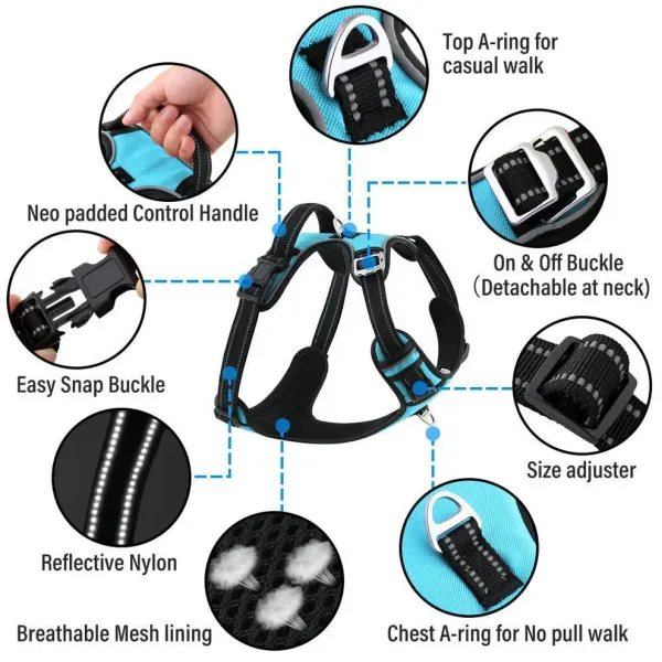 HANK_3M_Reflective_No_Pull_Dog_Harness_|_Cyan_Blue