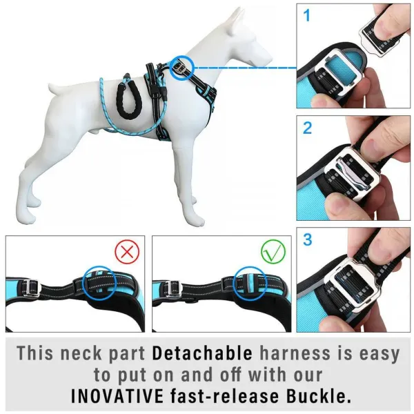 HANK_3M_Reflective_No_Pull_Dog_Harness_|_Cyan_Blue