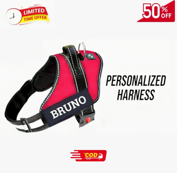 Personalised_Easy_On_Dog_Harness_with_Custom_Name_&_Adjustable_Neck_Strip_&_Chest_Strip_Dog_Harness