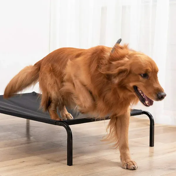 Black_Oxford_Fabric_Premium_&_Elegant_Foldable_Waterproof_Portable_&_Elevated__Bed_For_Dog