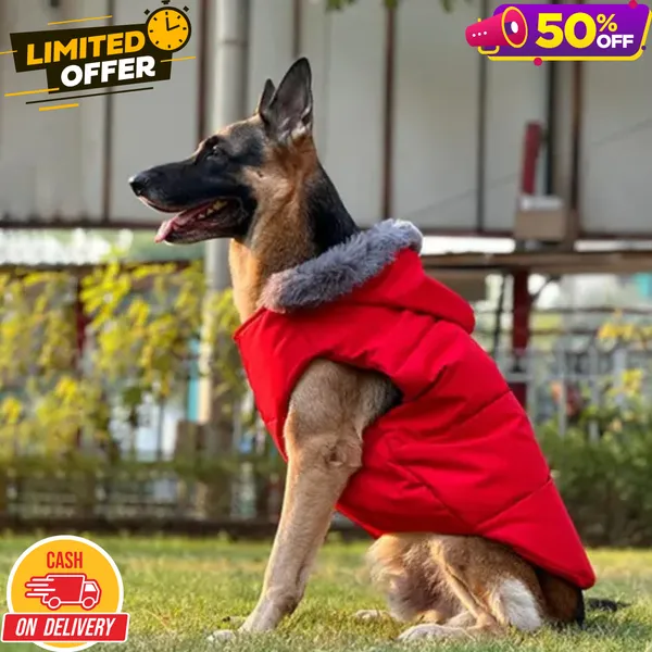 ArcticPup_Luxe_Puffer_Dog_winter_Jacket_Waterproof_and_superwarm_for_Large_Dogs_Like_Labrador,_German_Shephard_and_Simillar