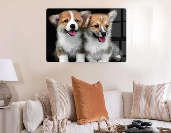 Multicolor_Customized_Acrylic_Photo_Frame_For_Birthday,_Anniversary,_Special_Moments_(16_X_12_In)