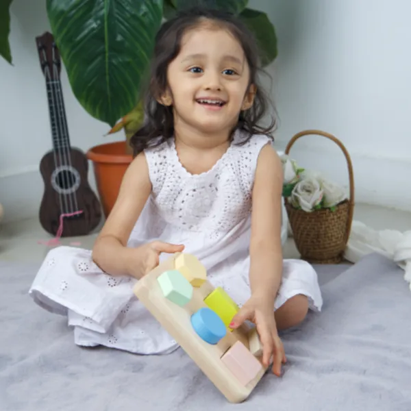 Multicolour_Wooden_Shape_Puzzle_Toy_For_Kids