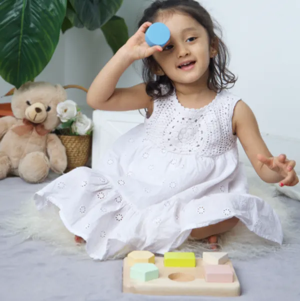 Multicolour_Wooden_Shape_Puzzle_Toy_For_Kids
