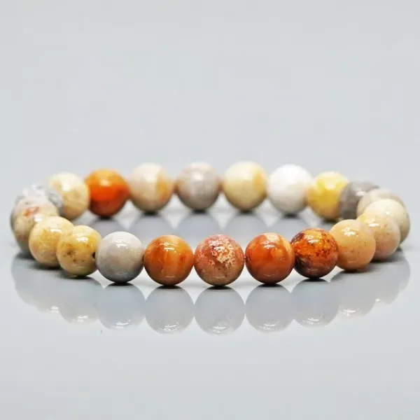 Fossil_Coral_Bracelet__Natural_Fossil_Coral_Gemstone_Beaded_Healing_Bracelet_for_Men_&_Women__Grounding,_Emotional_Balance_&_Connection_to_Nature__Stretchy_Unisex_Bracelet__8mm_Beads