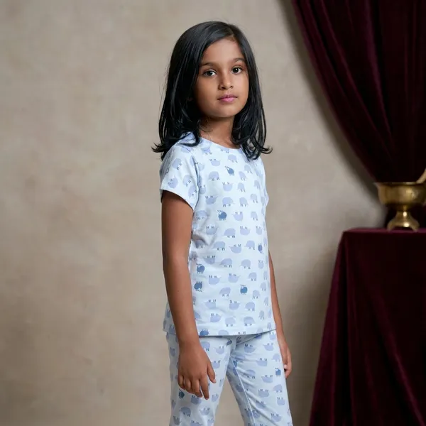Blue_Sheep_Print_Skin_Friendly_Lyocell_Elastane_Stretch_Nightwear_Set