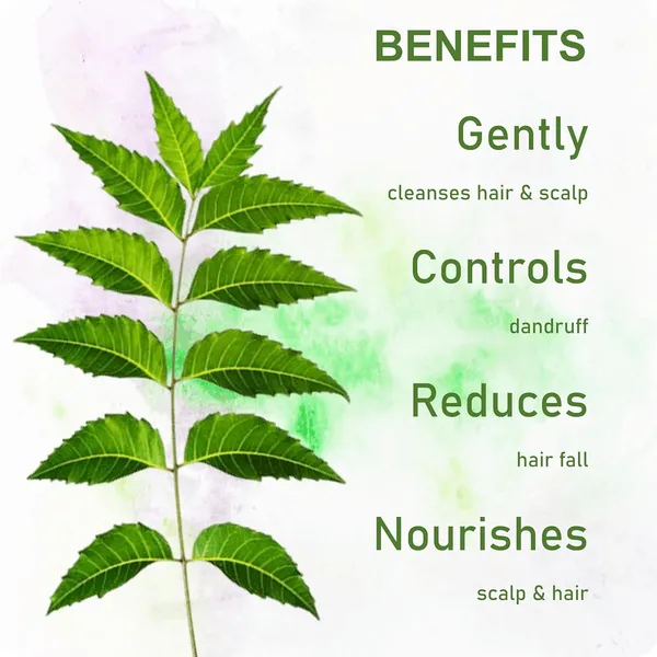 Pure_Neem_Anti_Dandruff_Herbal_Shampoo_|_For_Men_&_Women_|_500ml