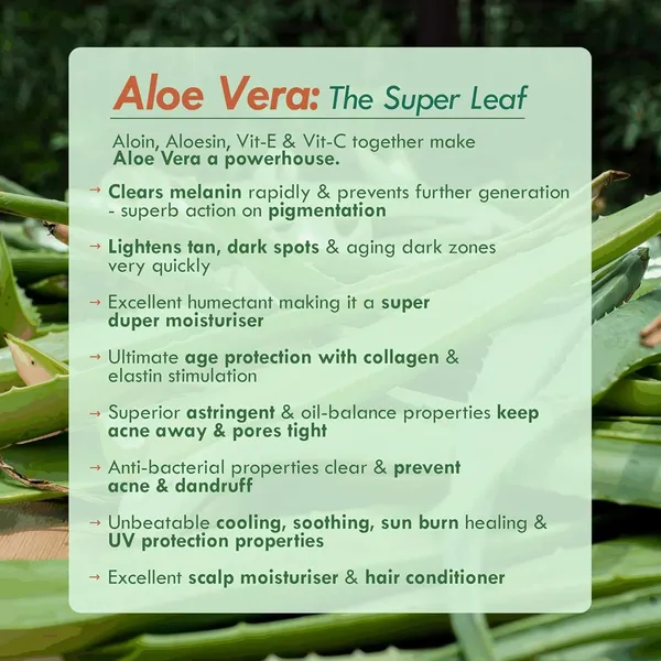 Aloe_Vera_Multipurpose_Gel_|_For_Face_&_Hair_|_Hydrating,_Moisturizing,_Soothing_Skin_|_500_ml