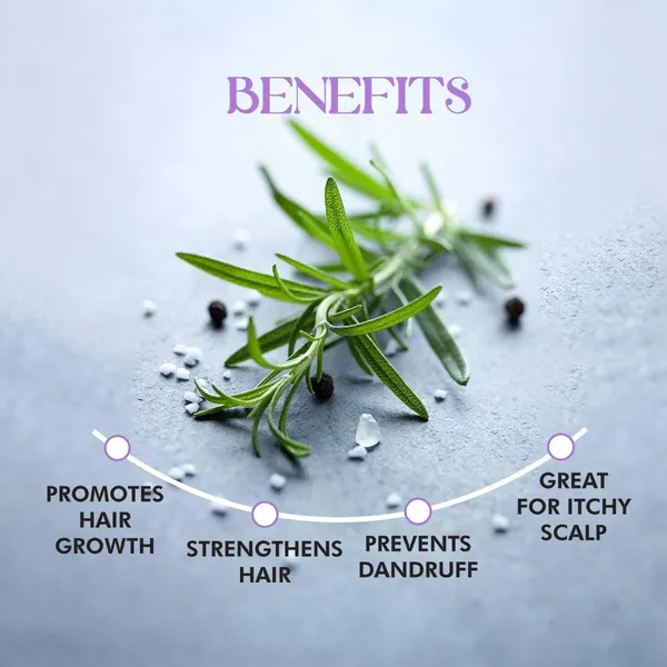 Rosemary_Water_For_Hair_Growth,_Mist_Spray_Steam_Distilled_100%_Pure_And_Natural_Hydrosol,_Hair_Mist_-_By_Drontila_100Ml