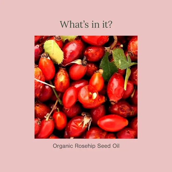 Bioleaf_Botanicals_Organic_Rosehip_Oil_For_Skin,_Face_&_Hair_15_Ml_|_Cold_Pressed_&_Therapeutic_Grade_Carrier_Oil_For_Face_Massage,_Makeup_Prep,_Scars,_Cuticles,_Stretch_Marks,_Fine_Lines_&_Wrinkles.