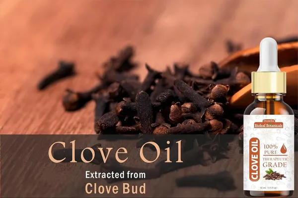 Bioleaf_Botanicals_Clove_Bud_Essential_Oil,_Pure_And_Undiluted,_15_Ml