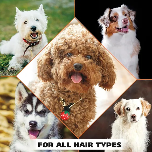 Pet_Life_Shiny_Coat_Dog_Shampoo_|_Oatmeal,_Coconut,_Linseed,_Cedar-Wood_|_Hydrating_&_Anti-Fungal/Bacterial_|_Healthy_Glowing_Coat,_Shampoo_For_Dogs_(500_Ml)