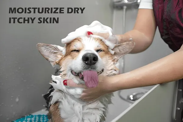 Pet_Life_Shiny_Coat_Dog_Shampoo_|_Oatmeal,_Coconut,_Linseed,_Cedar-Wood_|_Hydrating_&_Anti-Fungal/Bacterial_|_Healthy_Glowing_Coat,_Shampoo_For_Dogs_(500_Ml)