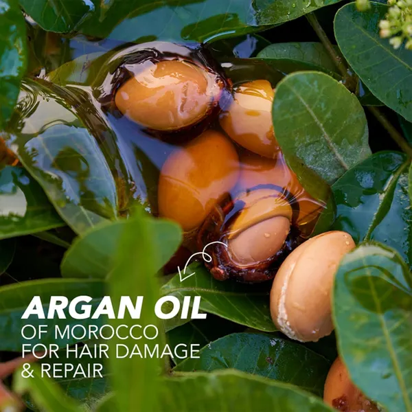 Argan_Oil_Of_Morocco_Conditioner_|_No_Parabens_No_Colourants_|_200_ml