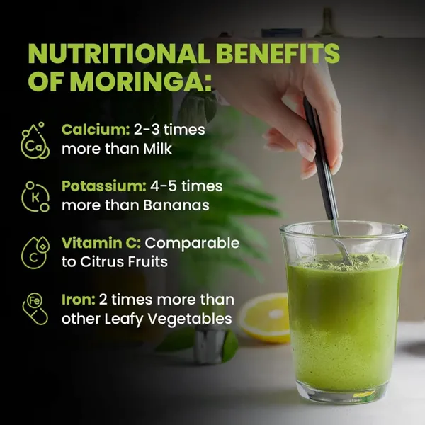 Moringa_Leaves_Powder_(300_Grams)_|Moringa_Oleifera_|_Murungai_Podi/Munagaku_Podi/Muringa_Podi_|_No_Added_Preservatives
