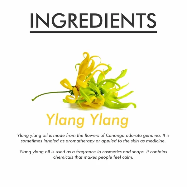 Dontika_Ylang_Ylang_Essential_Oil_??_Pack_Of_1,_10Ml_??_100%_Natural_Therapeutic_Grade